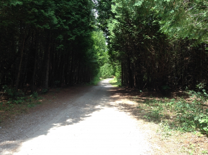 Roadway through Tenting Area